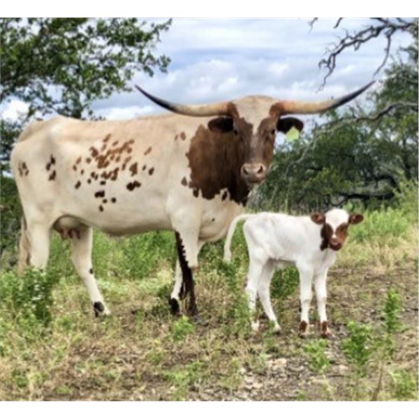 SUB LOT - BCR Charm and Style 631