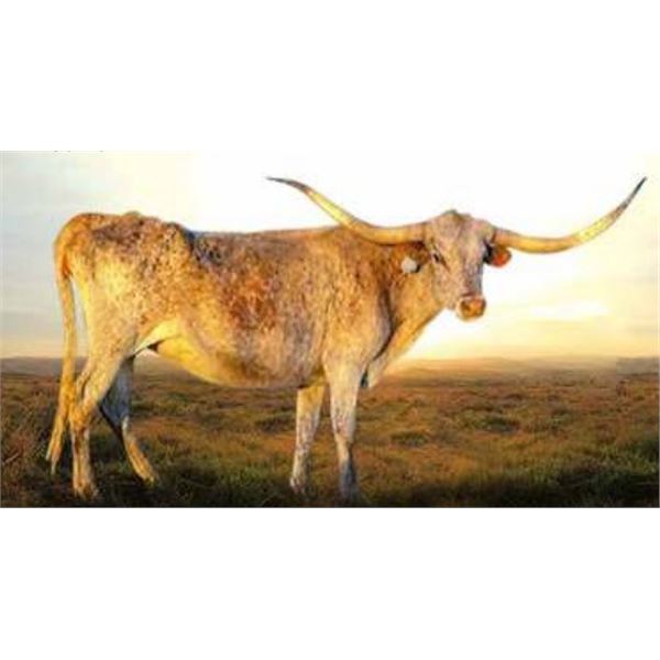 3P CHARDONNAY 50/50 BLEND