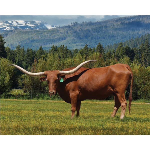 LAR HIDDEN POLE 3011