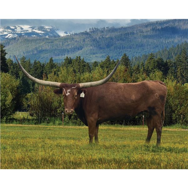 GLR JAMMIN' WITH THE STARS