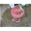 Image 3 : Fire Hydrant