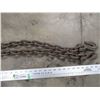 Image 2 : Chain - 10ft