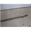 Image 3 : Chain - 14ft