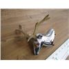 Image 2 : Deer head ornament