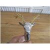 Image 4 : Deer head ornament