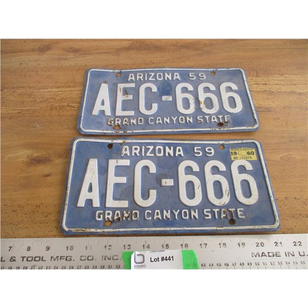 1959 Arizona license plates - matching pair