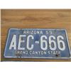Image 2 : 1959 Arizona license plates - matching pair