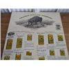 Image 2 : Buffalo Cardboard display Prairie Oil - 29x16