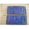 Image 4 : 1931 (matching pair) Sask license plates
