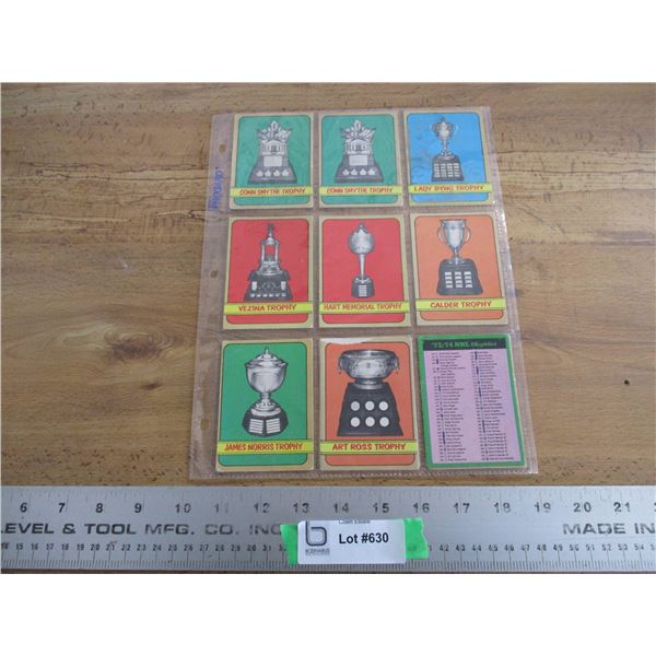 (9) 1970's OPC hockey cards - Trohpies