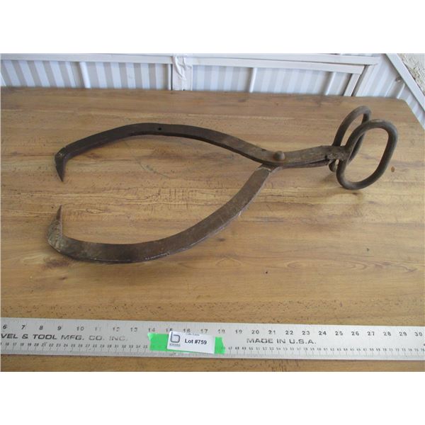 Ice tongs