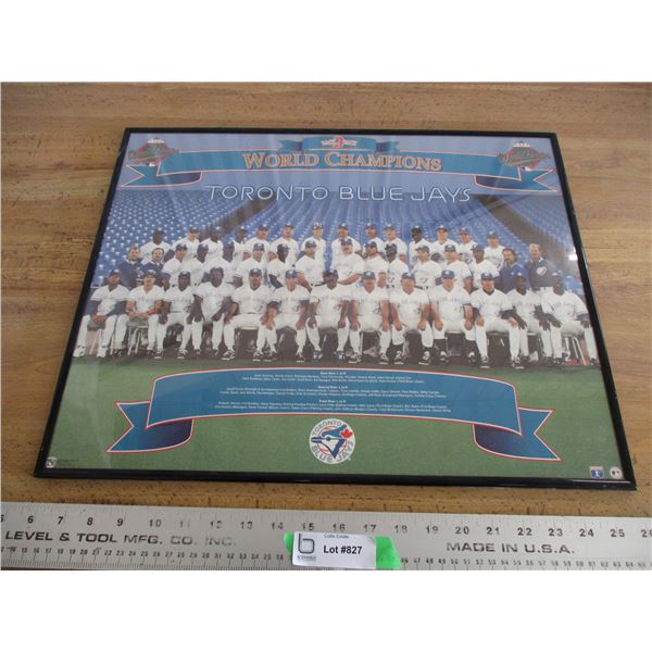 Blue Jays world championship picture 20x16