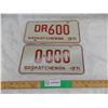 Image 1 : 1971 Dealer + 1971 Sample – Sask License plates