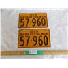 Image 1 : 1929 matching pair of Sask License Plates