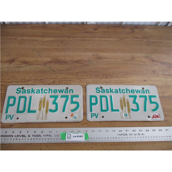 2004 Sask License plates - matching pair