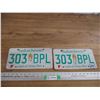 Image 1 : 2011 (farm) Sask License plate - matching pair