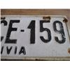 Image 4 : Bolivia license plate