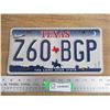 Image 1 : Texas (lone star state) license plate