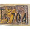 Image 3 : 1929 (Truck) Sask License Plate