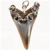 Image 2 : Silver Layered Sharks Tooth Pendant  (JEW-030)
