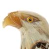 Image 1 : Rare White Buffalo Horn Scrimshaw Hawk   (CLB-129)
