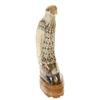 Image 3 : Rare White Buffalo Horn Scrimshaw Hawk   (CLB-129)