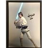 Image 1 : MARK HAMILL SIGNED STAR WARS 8 X 10 (RA COA)