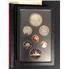 Image 2 : 1983  CANADIAN SILVER DOUBLE DOLLAR SET