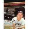 Image 2 : AUTOGRAPHED BASEBALL LOT (AL KALINE..)