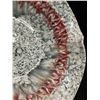 Image 3 : Mid Century Italian Seashell dish centerpiece (Approx: 11x7.5")