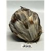 Image 8 : Handcrafted Feather Owl Figure (Approx: 5"T 4"W)