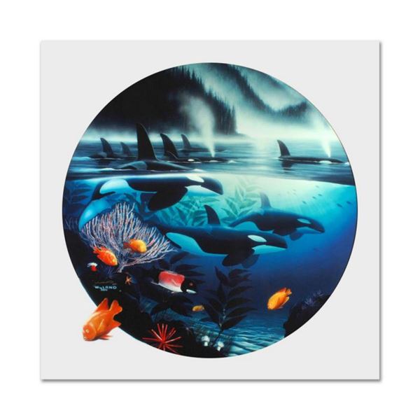 Wyland, "Orca Journey" Limited Edition Cibachrome, Numbered and Hand Signed with Certificate of Auth