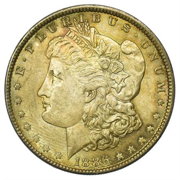 1886 Morgan Dollar