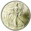 Image 1 : 1996 Silver Eagle