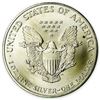 Image 2 : 1996 Silver Eagle