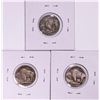 Image 2 : Lot of 1913 Type 2, 1919 & 1924-S Buffalo Nickel Coins