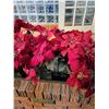 Image 3 : Large Artificial Poinsettias x2