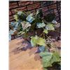 Image 2 : Silk Common Ivy Plants & Plant Stand