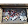 Image 5 : Tool Chest With All Contents Shown