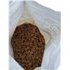 Image 3 : Nature's Recipe Grain Free Puppy Food (1.8kg)