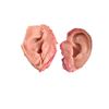 Image 1 : Django Dr. King Schultz (Christoph Waltz) Ears Movie Props