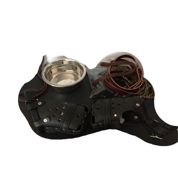 The Dog Lulu ( German Shepherd) Lot of Movie Props