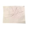 Image 2 : Falling Skies Maps