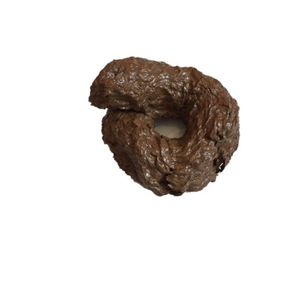 The Dog Lulu Movie Props