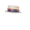 Image 2 : Eureka TV Election Hat