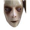 Image 3 : Hell Fest Robed Mask Scarer Masks Movie Props