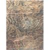 Image 4 : Django Snake River Map Movie Props