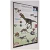 Image 1 : Dinosaurs poster.