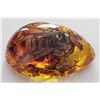 Image 1 : A Very large hornet encapsulated in an amber coloured resin.  5 cms.
