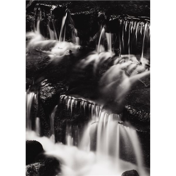 Ansel Adams signed -  Fern Spring, Dusk, Yosemite Valley, California,